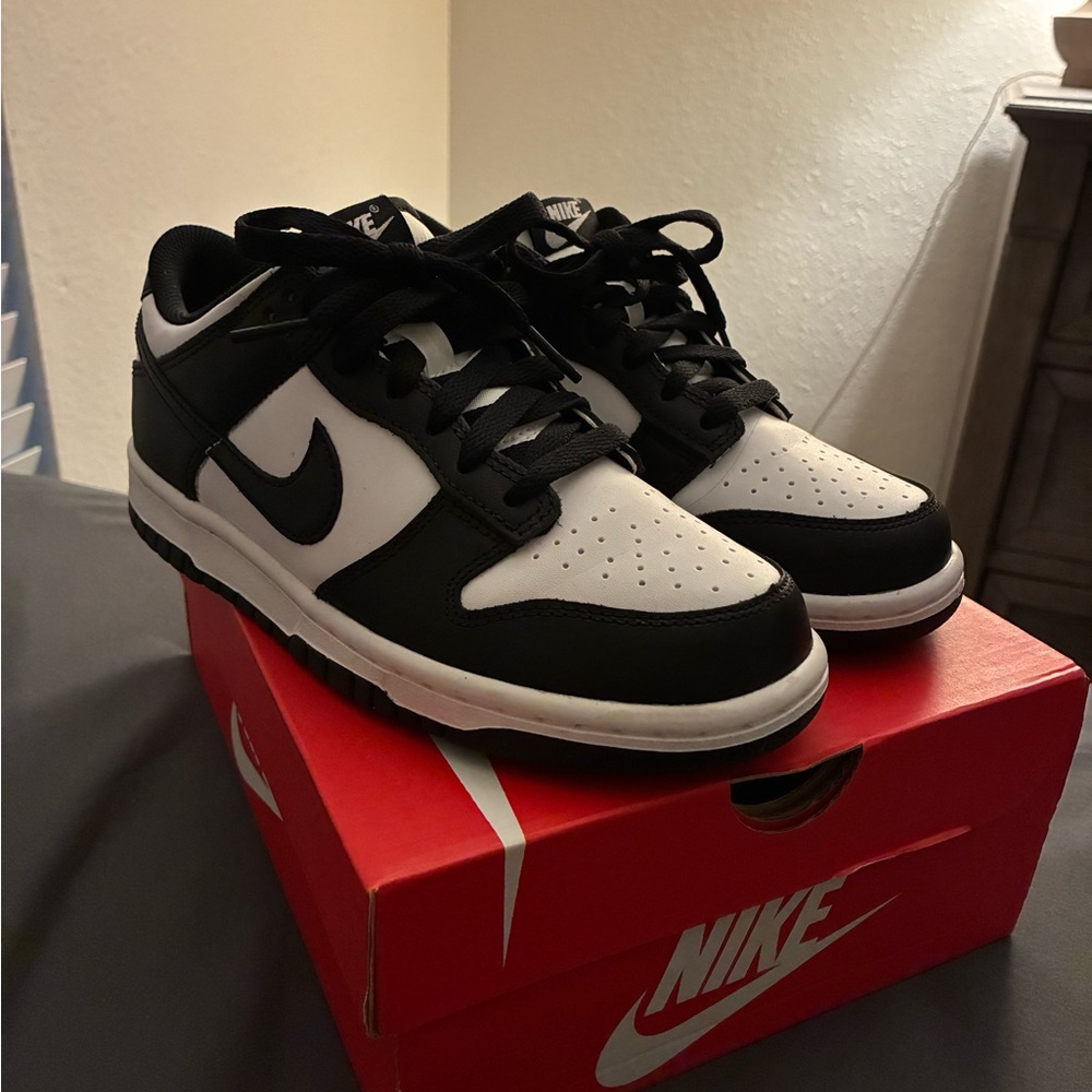 Big Kids Nike Dunks